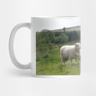 Sheep Mug